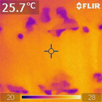 Opname met een warmtebeeldcamera (schade door muizen in de dakisolatie)