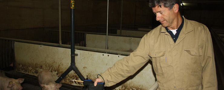 Peter van de Voorst aan het werk in een varkensstal