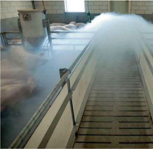 Kanaalventilatie in een varkensstal